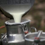Castilla y León amplía las ayudas para recoger leche en zonas de montaña Castilla y León elimina restricciones para la recogida de leche en ganaderías de montaña