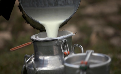 Castilla y León elimina restricciones para la recogida de leche en ganaderías de montaña