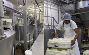 De 30.000 litros diarios a la exportación