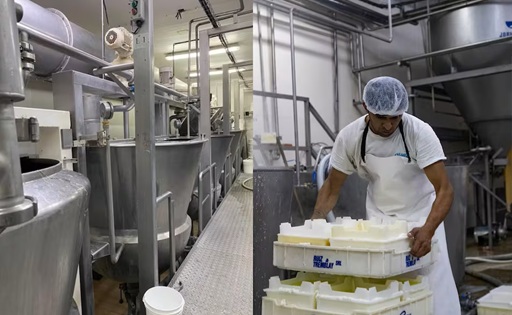 De 30.000 litros diarios a la exportación