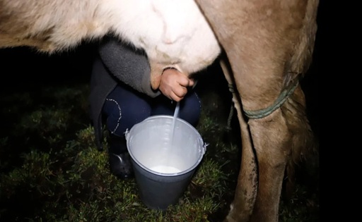 Ecuador producir leche desde las 330 de la mañana por 25 centavos el litro