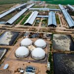 Las más de 200 millones de razones de Adecoagro Las más de 200 millones de razones de Adecoagro