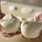 Italia paro paraliza la producción de mozzarella