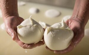 Italia paro paraliza la producción de mozzarella
