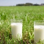 La leche sube 13%, pero la inflación llega al 33,5% alerta en Argentina