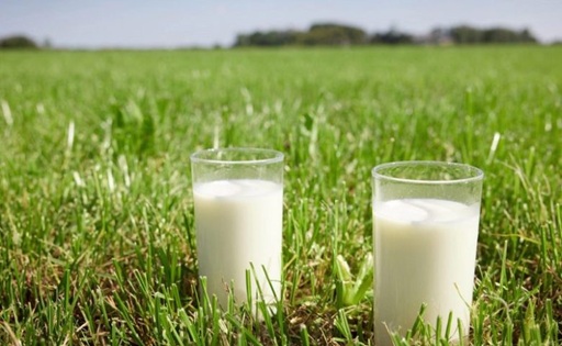La leche sube 13%, pero la inflación llega al 33,5% alerta en Argentina