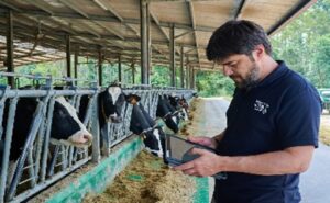 Nestlé paga primas a los lecheros que transforman sus granjas en Galicia