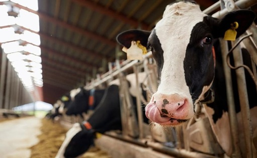 Unión Europea suben mantequilla y leche en polvo, pero los costos meten presión