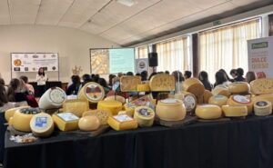 Uruguay estos son los quesos que ganaron los máximos premios del concurso internacional
